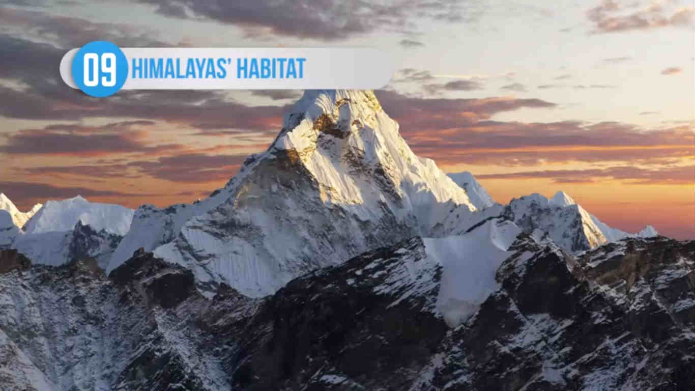 ஹிமாலயம் ஹிமாலயம்