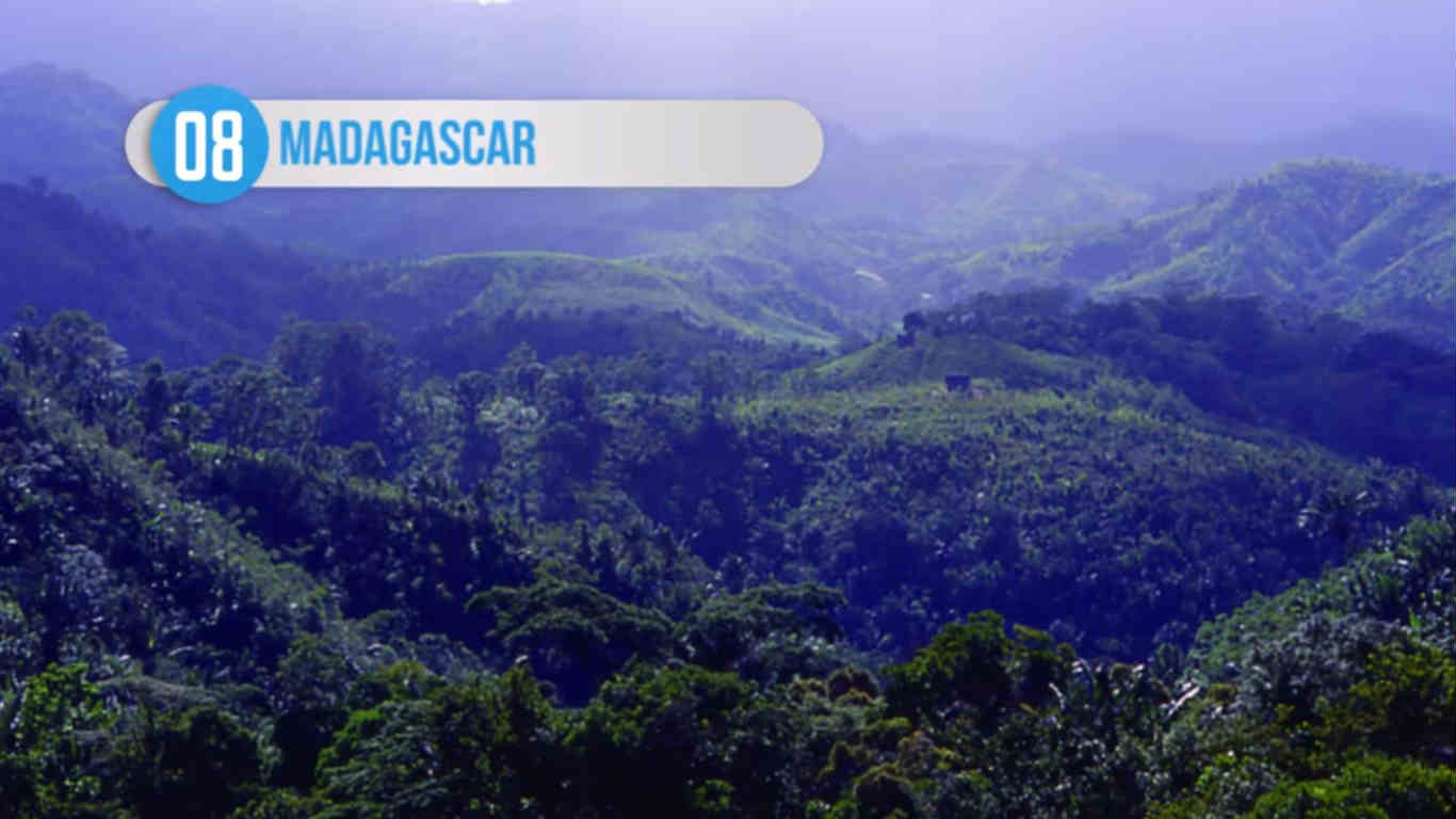 மடகாஸ்கர் மடகாஸ்கர்