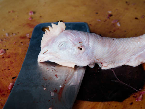 சீன சிக்கன் சீன சிக்கன்