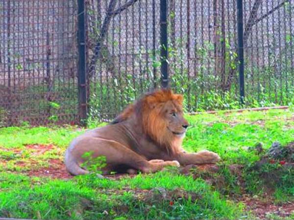 தகவல் #3 தகவல் #3