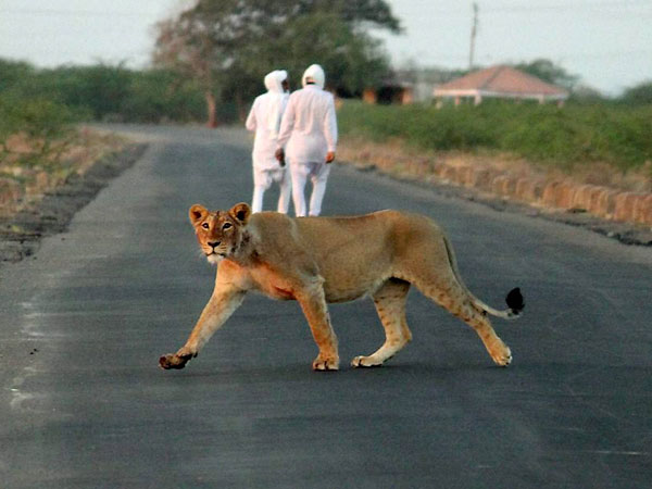 தகவல் #5 தகவல் #5