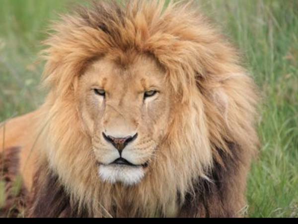 தகவல் #6 தகவல் #6