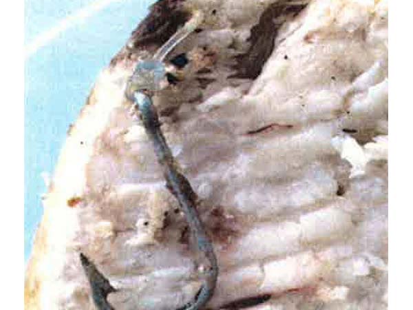 உணவில் மீன் கொக்கி உணவில் மீன் கொக்கி