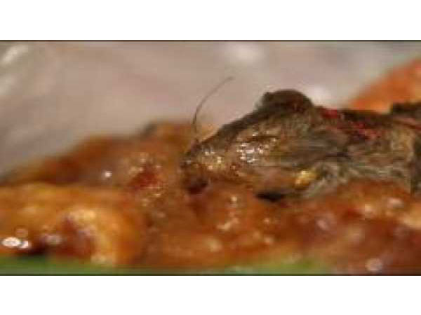 சைனீஸ் பஃபெட்டில் முழு எலி சைனீஸ் பஃபெட்டில் முழு எலி