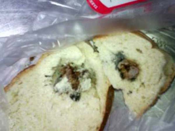 பிரட் பாக்கெட்டில் எலியின் தலை பிரட் பாக்கெட்டில் எலியின் தலை