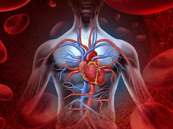  இலந்தைபழம் 