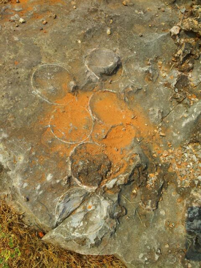 அகமதாபாத்