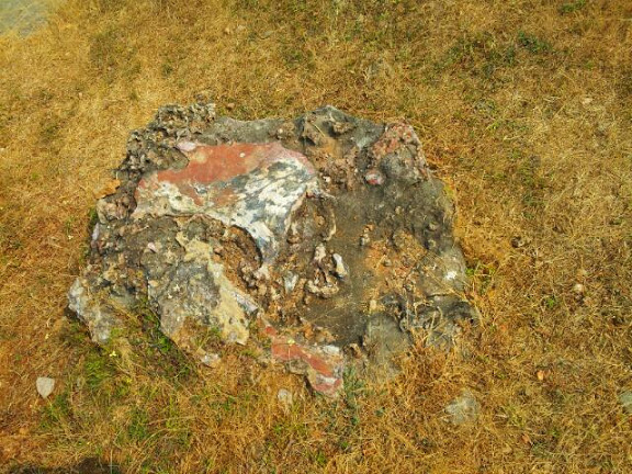 தனித்தன்மை