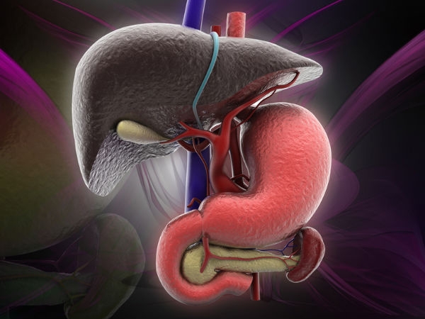 A liver hormone that suppresses consumption of sugar