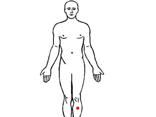 முழங்கால்