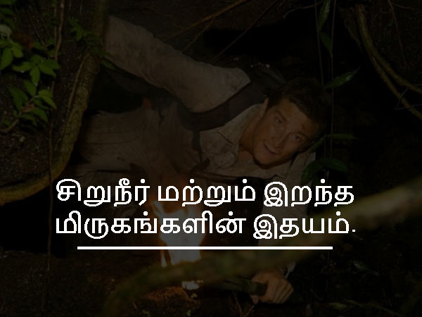 உண்மை # 8 உண்மை # 8