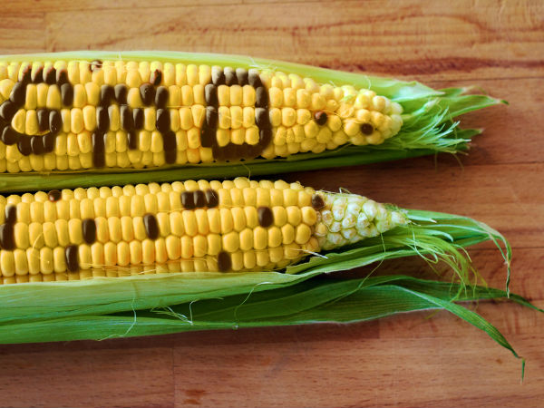 மரபணு மாற்றப்பட்ட உணவுகள் 