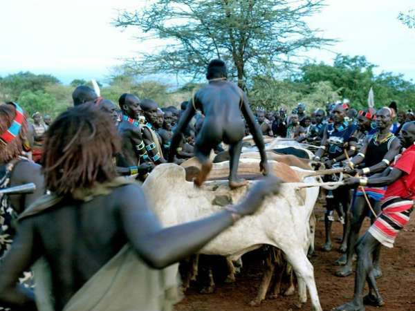 ஹாமர் பழங்குடியினர்