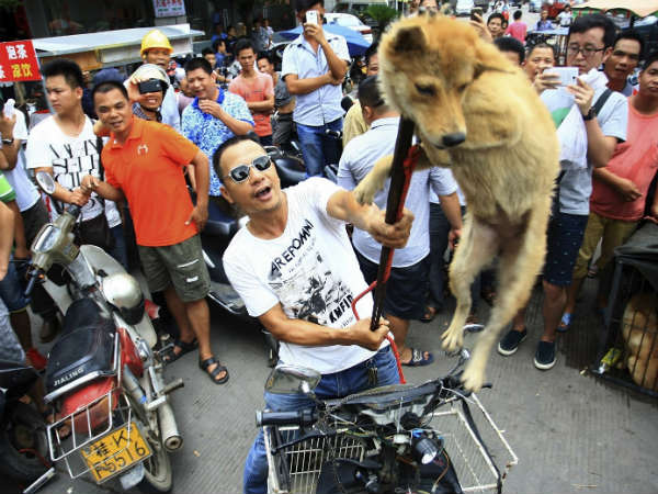 ஏன் இந்த திருவிழா?