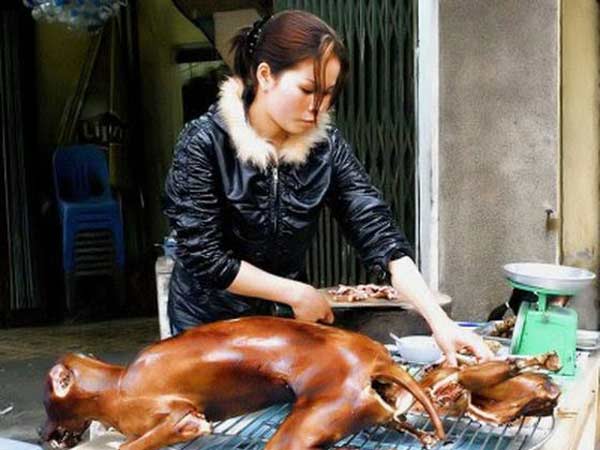 ராபிஸ் நோய்