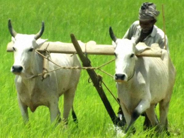 விவசாயம் என்னும் சிறந்த உடற்பயிற்சி