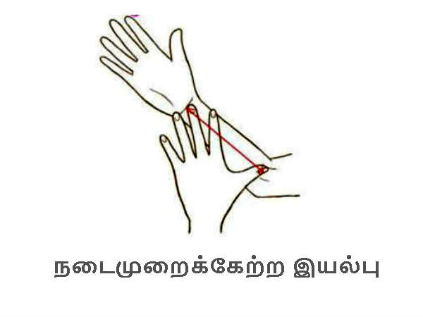 குட்டையான கைகள் 