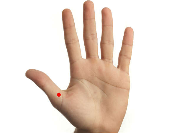 பெருவிரலின் அடிப்பகுதி