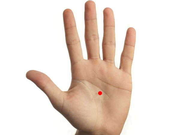 உள்ளங்கை