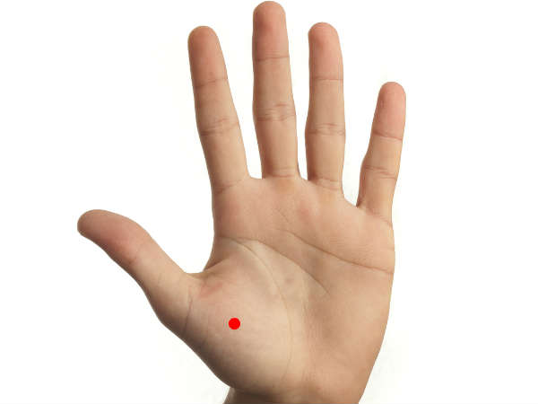 உள்ளங்கையின் மேட்டு பகுதி