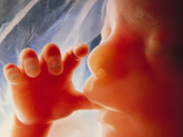 லின்சே பெல் கோரிக்கை!