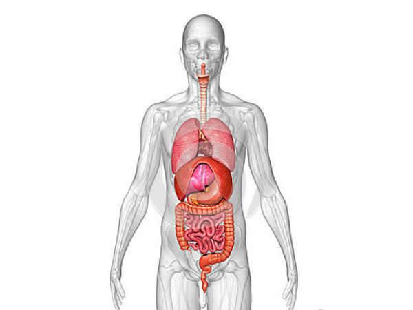 உறுப்புக்கள் சுத்தமாகும் உறுப்புக்கள் சுத்தமாகும்