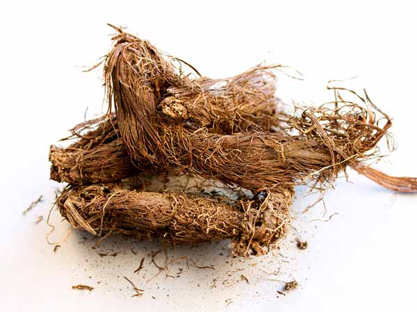 Miracle herbs that prevent hair loss