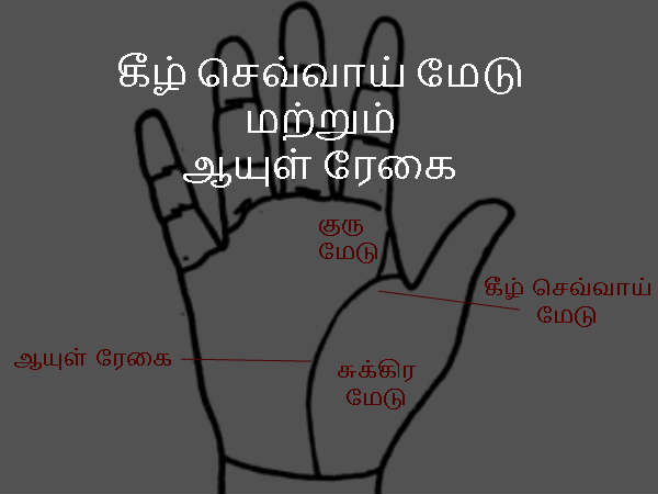 கீழ் செவ்வாய் மேடு மற்றும் ஆயுள் ரேகை