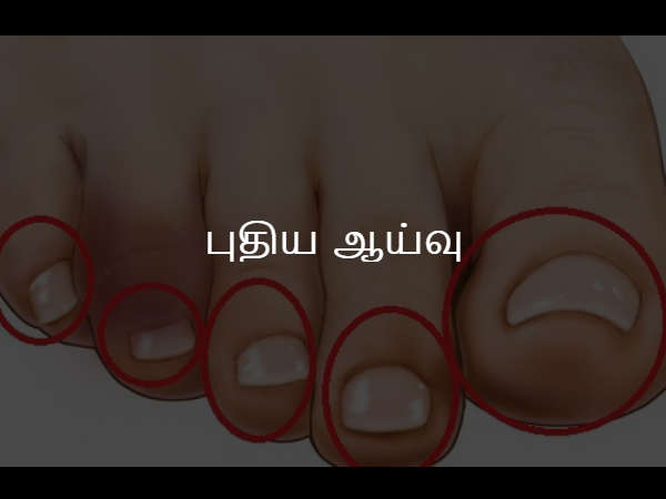 புதிய ஆய்வு