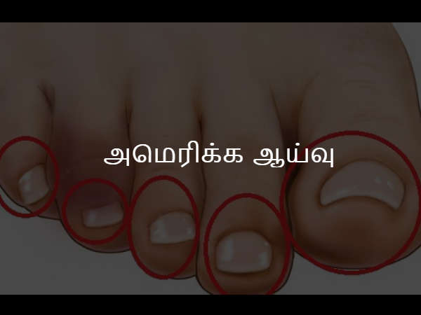 அமெரிக்க ஆய்வு