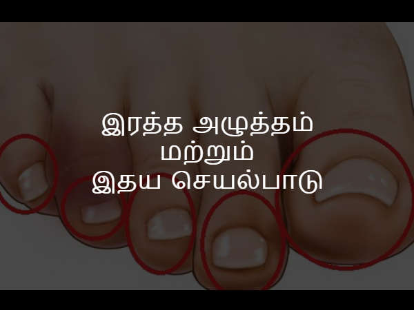 இரத்த அழுத்தம் மற்றும் இதய செயல்பாடு