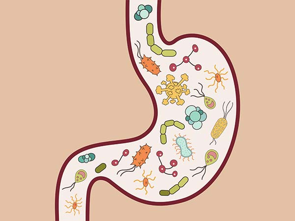 ஒட்டுண்ணி தொற்றுகளை எளிய இயற்கை முறையில் அழிக்க முடியுமா? ஒட்டுண்ணி தொற்றுகளை எளிய இயற்கை முறையில் அழிக்க முடியுமா?