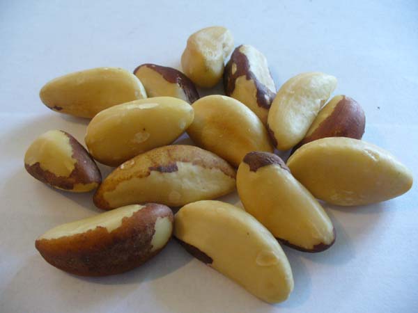 பிரேசில் நட்ஸ்