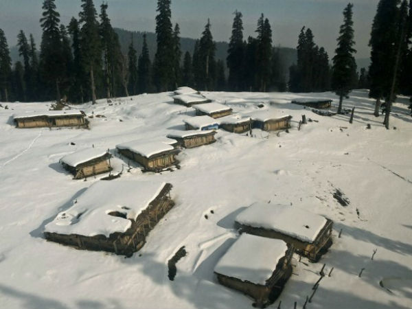 நிக்கோலா (Nicolas Bochatay - 27)