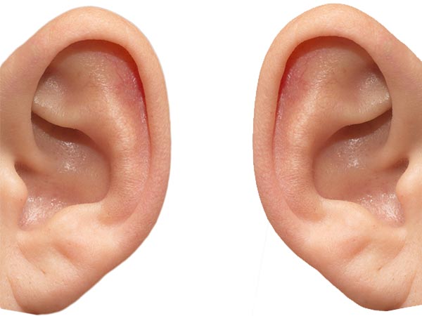 தடுப்பான்! தடுப்பான்!