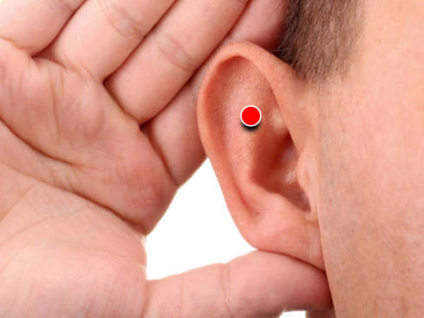 காது மடல் காது மடல்