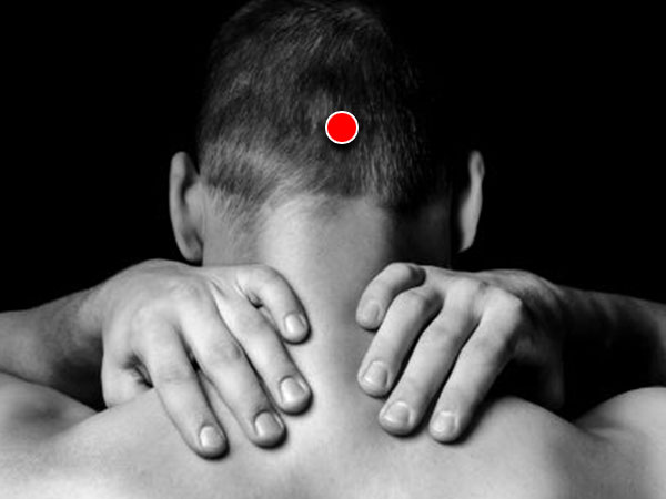 தலையின் பின்புறம் தலையின் பின்புறம்