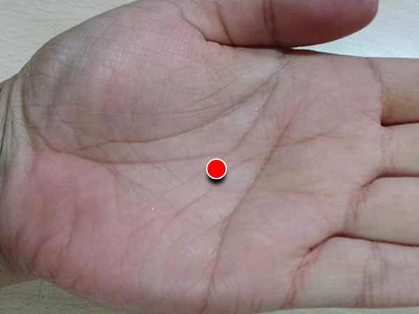 உள்ளங்கை உள்ளங்கை