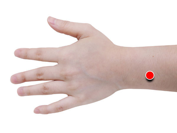 கையின் வெளிப்பகுதி கையின் வெளிப்பகுதி