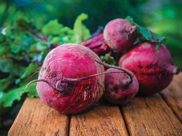 பீட்ரூட் :