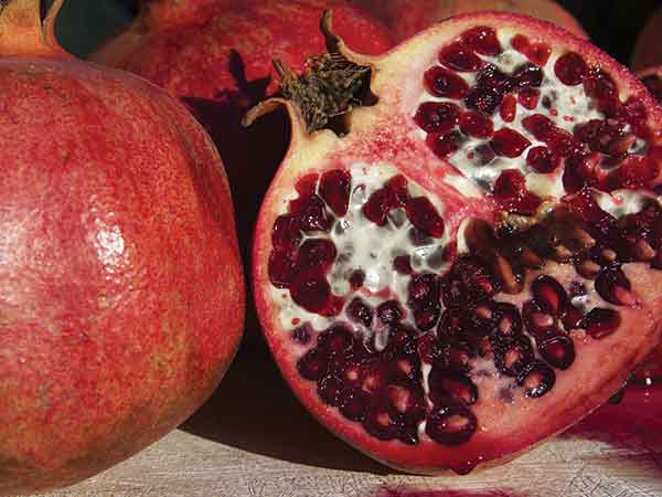 மாதுளை :