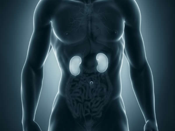 Kidney stones may prevent by citrus extract