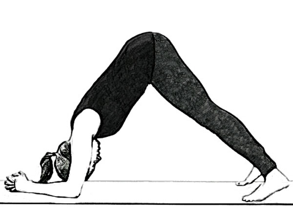 Ardha Pincha Mayurasana to stimulate Nervous system 