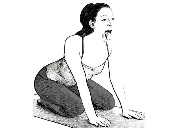 செய்முறை :