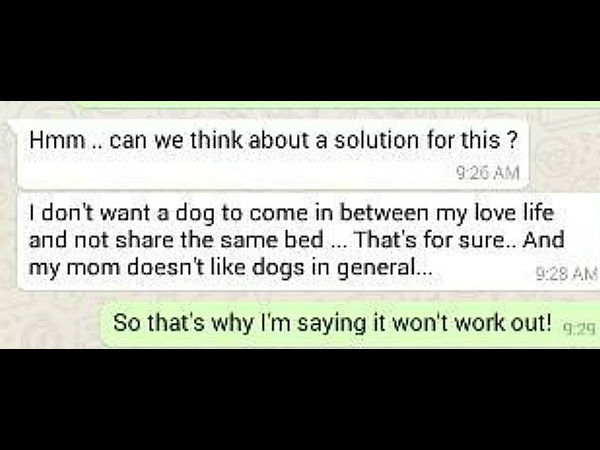 நாயுடன் படுக்கையா?