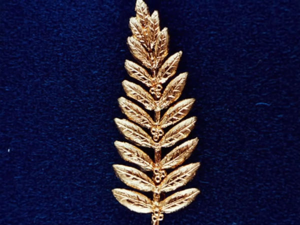 கோல்ட் ஆலிவ் இலை! கோல்ட் ஆலிவ் இலை!