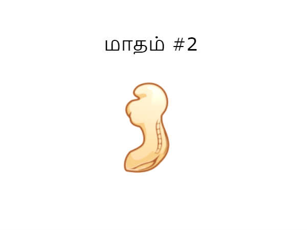 மாதம் #2