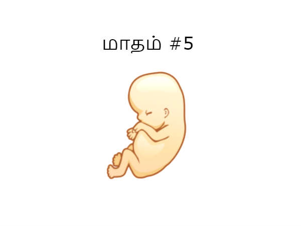 மாதம் #5
