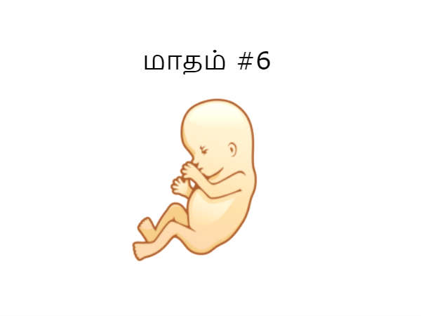 மாதம் # 6