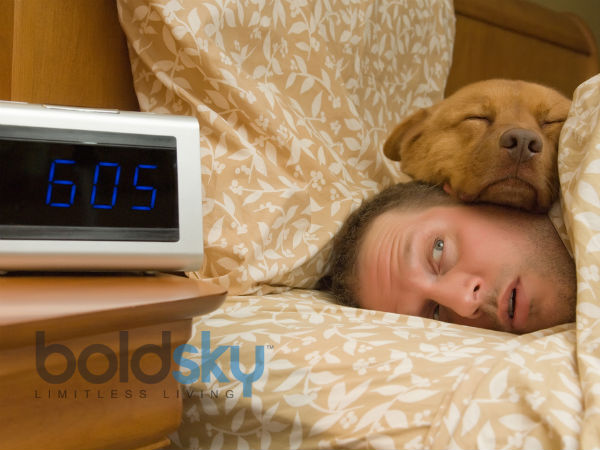  செல்லப் பிராணிகளை அனுமதிக்காதீர்கள் :